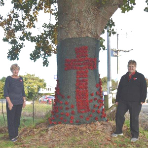 Poppy Tree