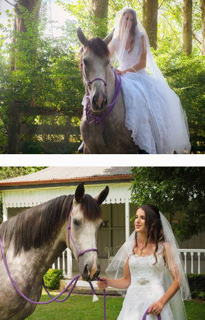 Wedding - Grace Lelieveld & Hayden Warner